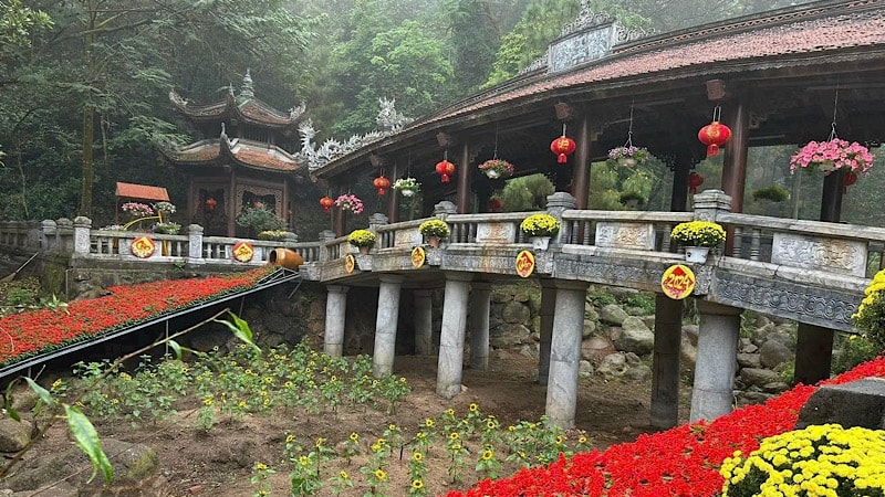 Côn Sơn-nơi hội tụ tinh hoa đất trời, anh hào tỏa sáng ảnh 8