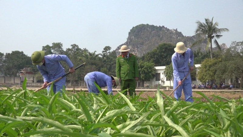 Học viên trong giờ lao động sản xuất tại Cơ sở cai nghiện số 1, Công an tỉnh Thanh Hóa.
