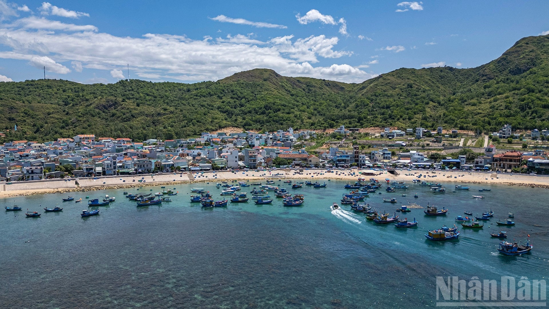 anh-bai-nhon-hai-10.jpg