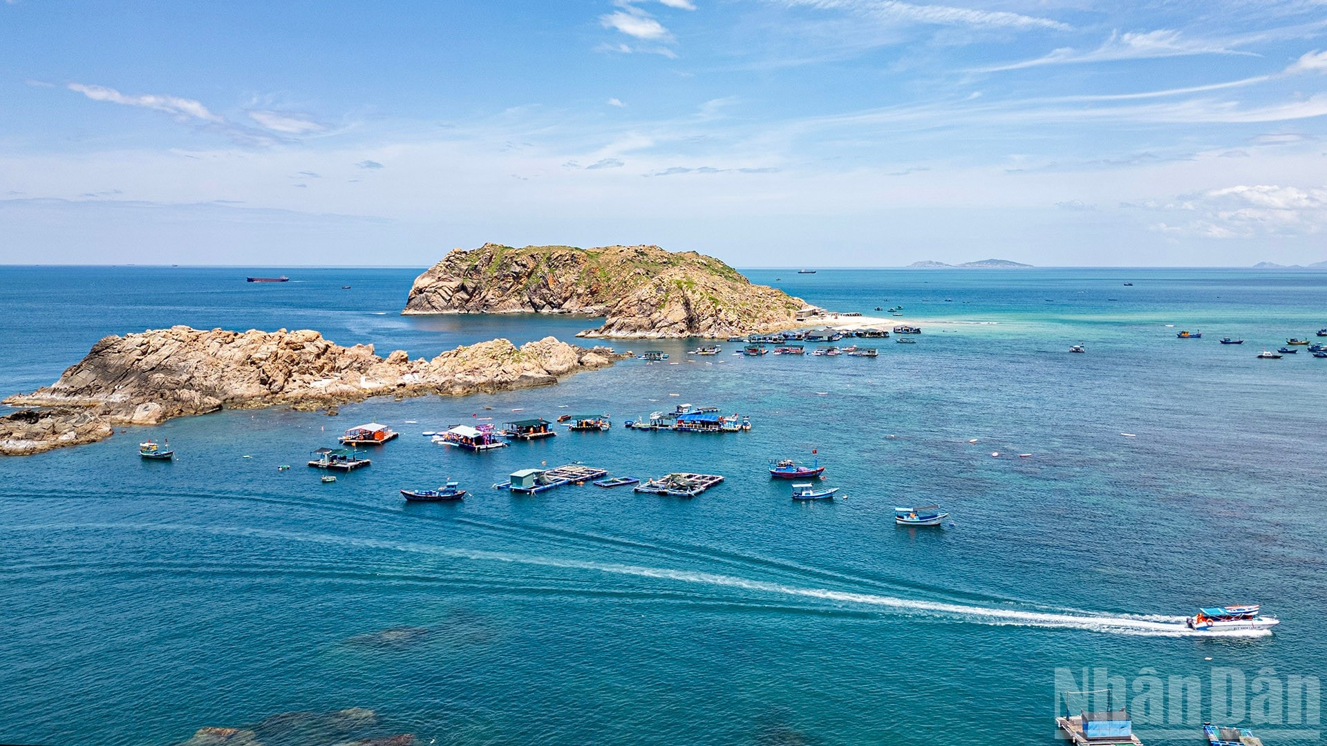 anh-bai-nhon-hai-2.jpg
