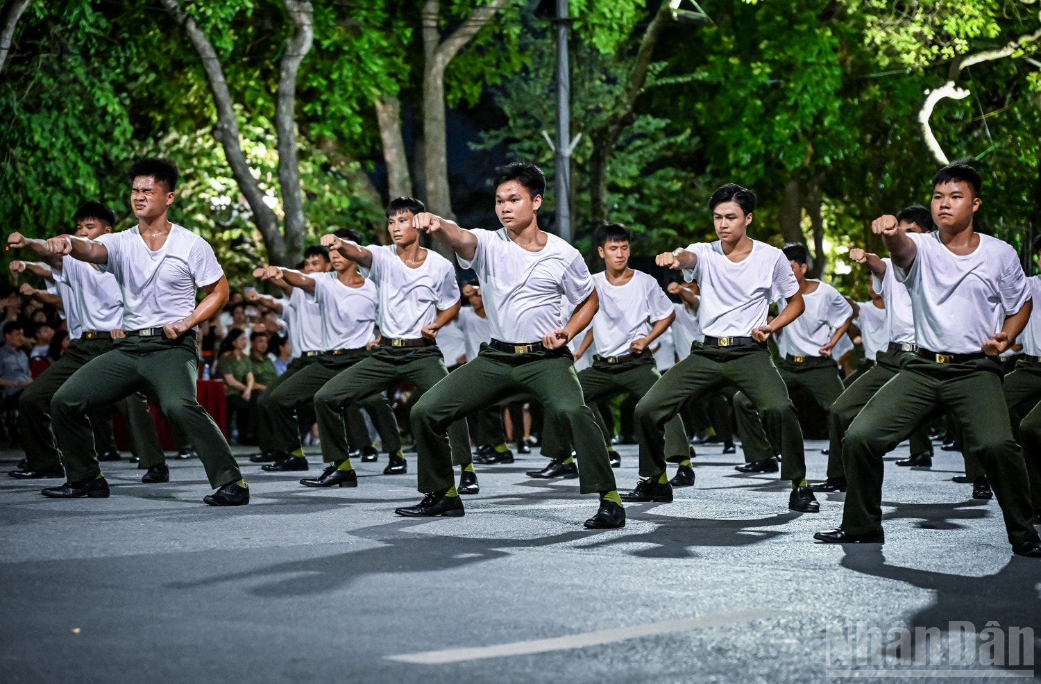 Các phần trình diễn không chỉ thể hiện sức mạnh thể chất, tinh thần thép mà còn mang tính nghệ thuật. Trong ảnh là màn trình diễn võ thuật. ndo_br_14.jpg