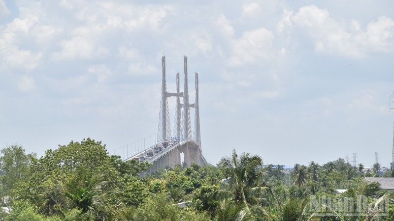 Một góc cầu Rạch Miễu 2. ndo_br_dsc-0546-5144.jpg