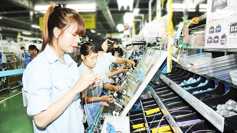 Công ty TNHH Hệ thống dây dẫn Sumi Việt Nam (SVWS), doanh nghiệp 100% vốn đầu tư của Nhật Bản tại KCN Đồng Văn II (Ninh Bình). (Ảnh: TRẦN HẢI) image-2.jpg