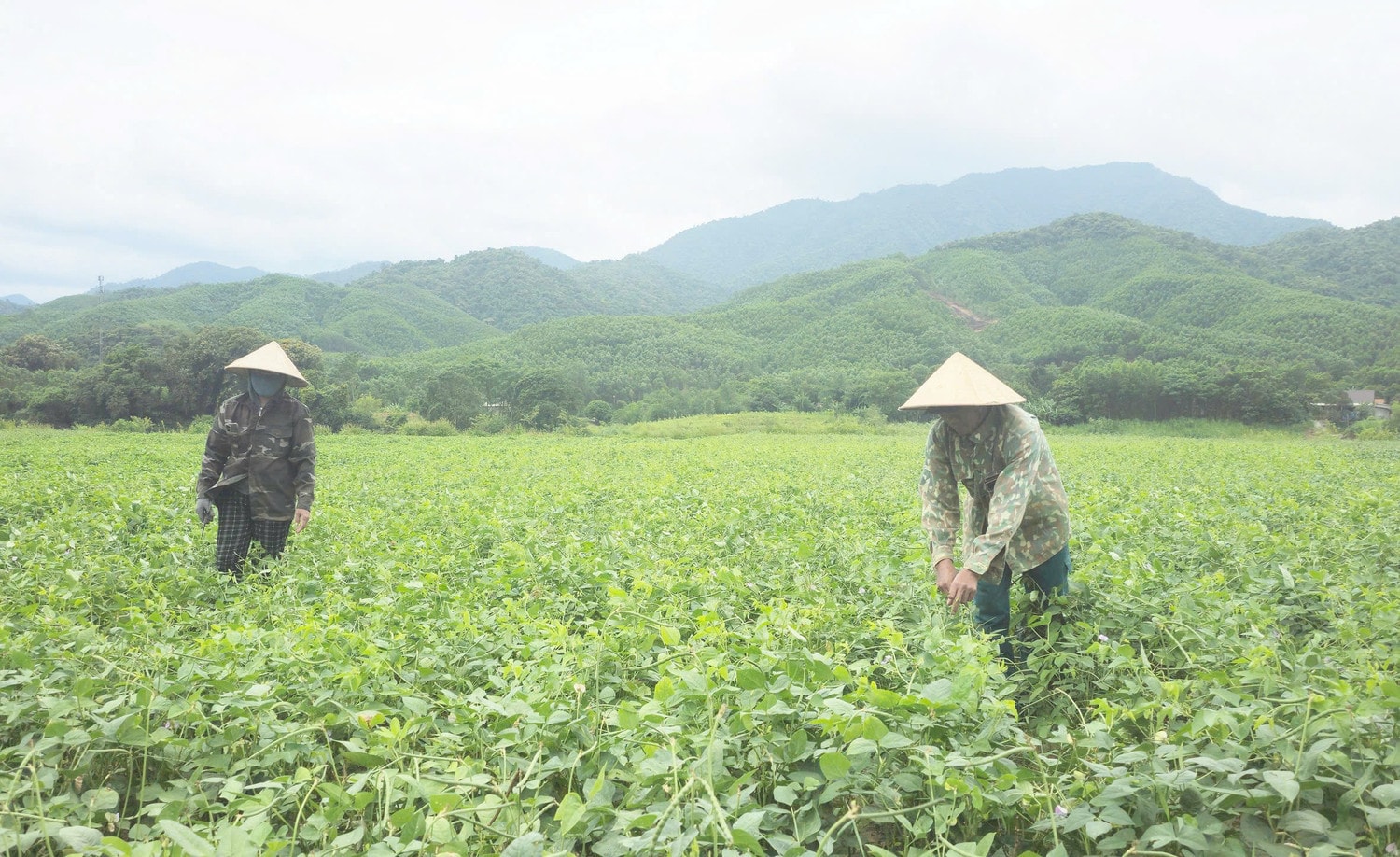 Thung lũng Ba Lòng hôm nay. (Ảnh: Lâm Quang Huy) ong-phien-7.jpg