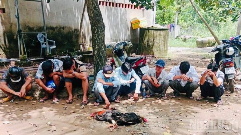 Công an xã Tân Thủy triệt xóa tụ điểm đánh bạc bằng hình thức đá gà ăn thua bằng tiền. ndo_br_cong-an-xa-triet-pha-tu-diem-da-ga-an-thua-bang-tien.jpg