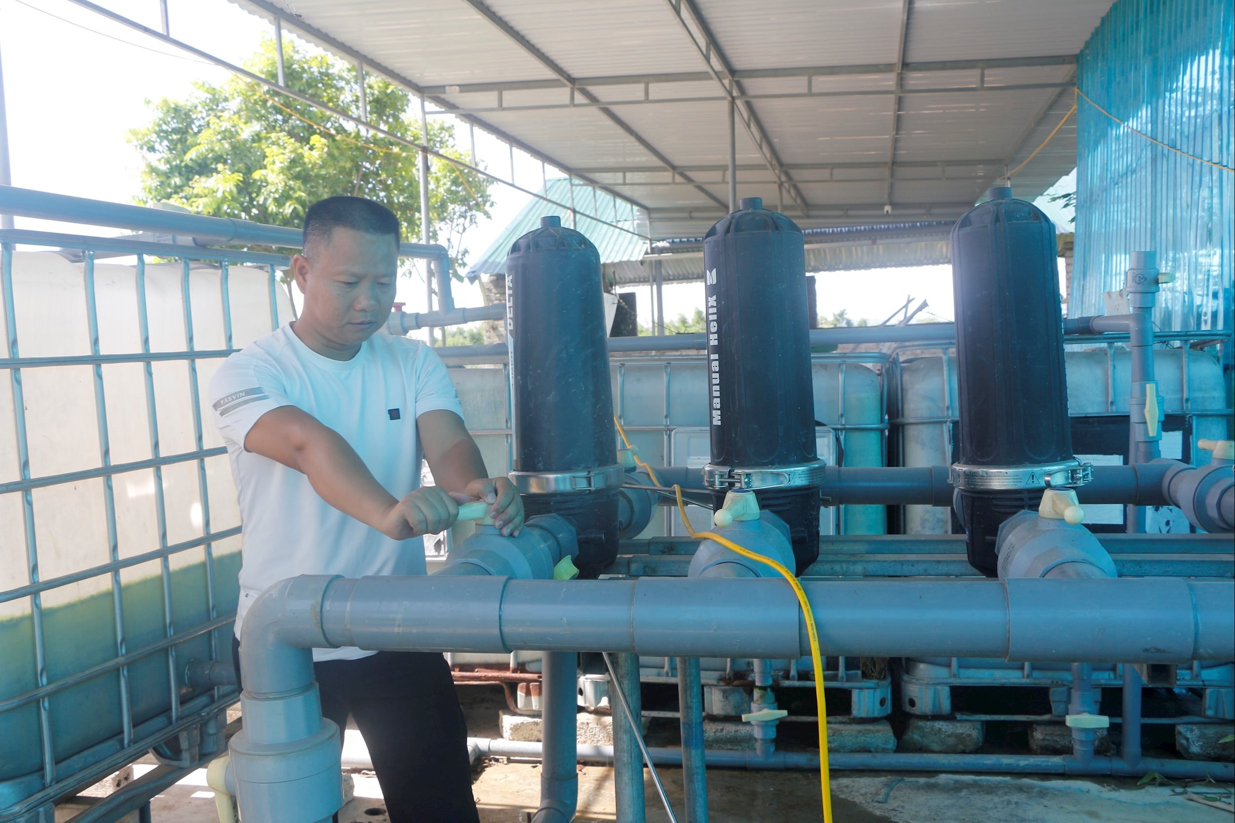 Ứng dụng KHCN vào SX sản phẩm hữu cơ. (Ảnh Bích Huệ TTXVN)