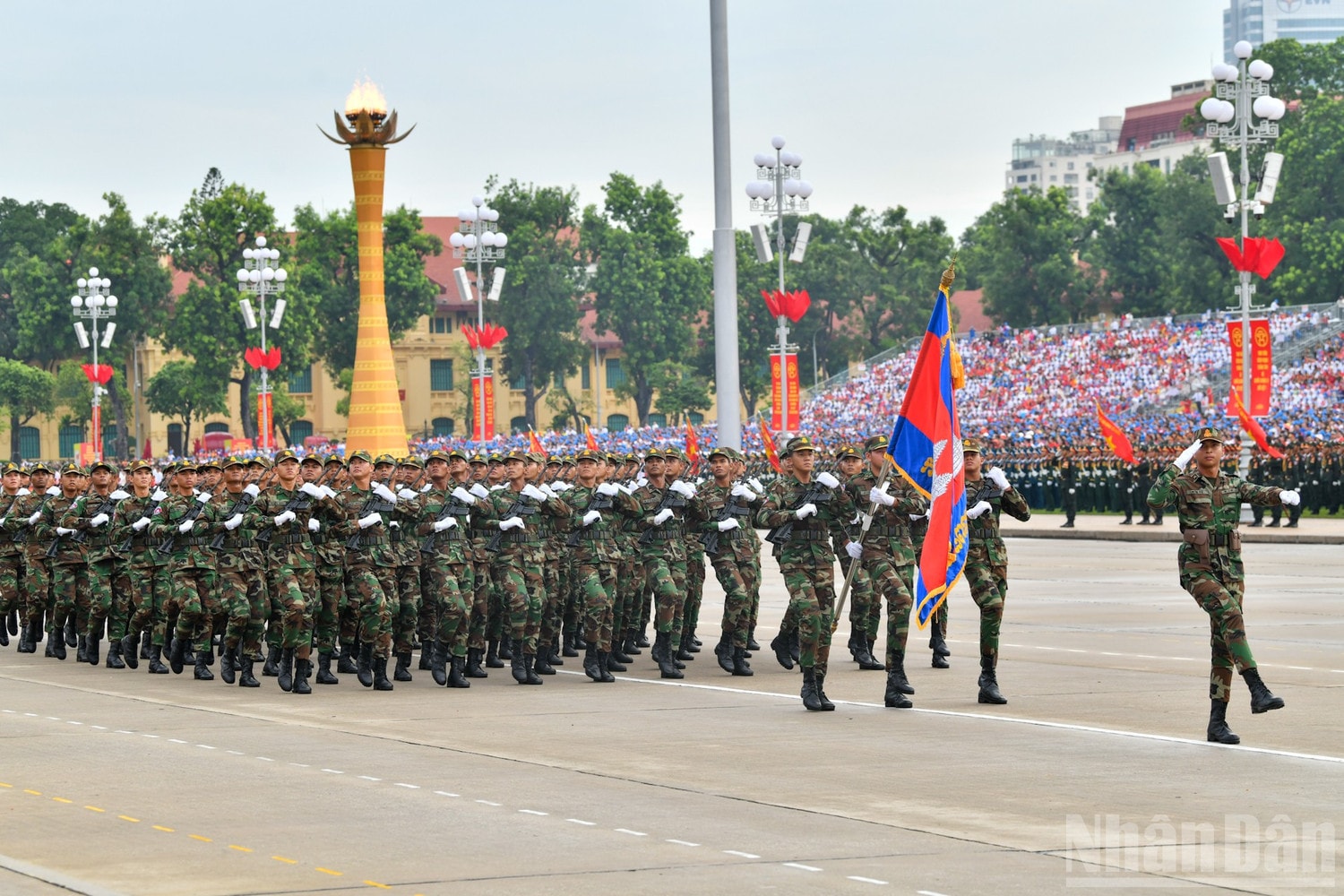 ndo_br_8-6196.jpg
