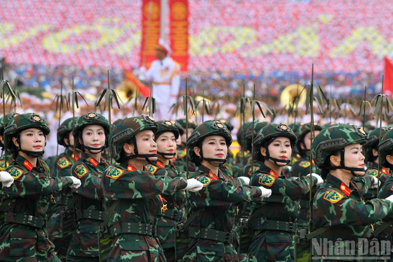 ndo_br_quan-doi-a80-24.jpg
