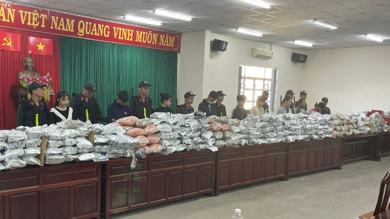 Giai đoạn 1 của chuyên án 128T thu giữ 550 kg cần sa khô.