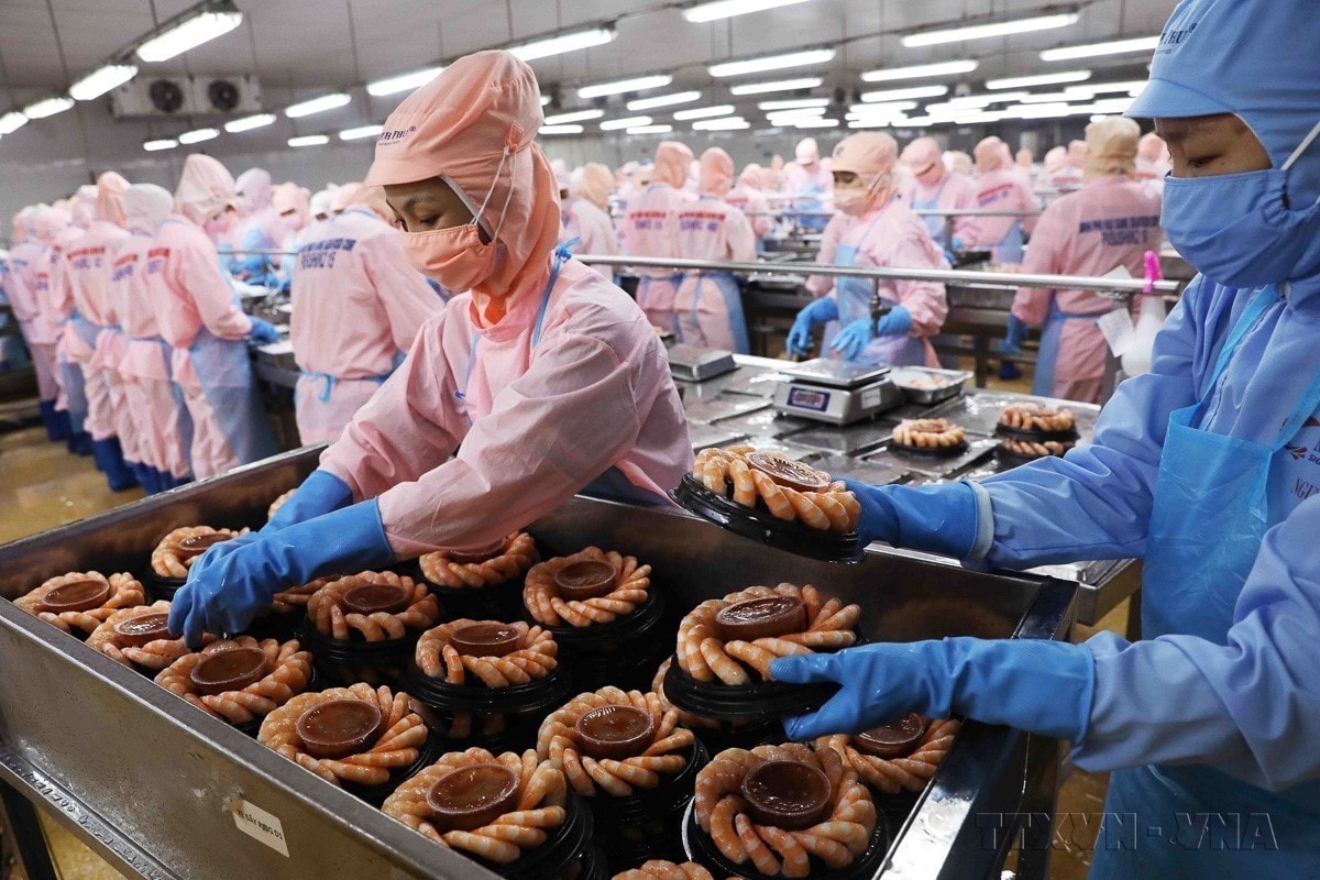 Đóng gói tôm thành phẩm xuất khẩu. (Ảnh: VŨ SINH – TTXVN) vna-potal-96-nam-thanh-lap-dang-cong-san-viet-nam-03021930-03022026-dan-toc-viet-nam-vung-buoc-vao-ky-nguyen-phat-trien-moi-8567409.jpg