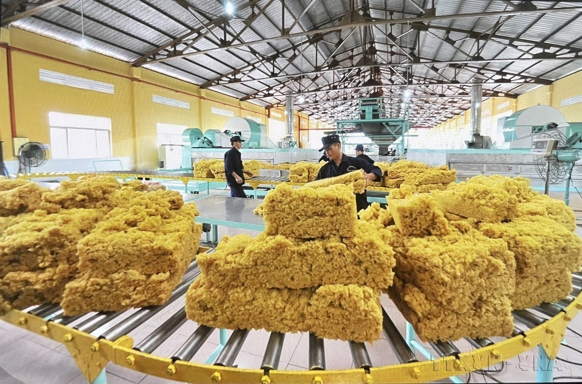 Đóng gói cao su chế biến tại Công ty Cổ phần cơ khí cao su BRC. (Ảnh: HỒNG NHUNG - TTXVN) vna-potal-96-nam-thanh-lap-dang-cong-san-viet-nam-03021930-03022026-dan-toc-viet-nam-vung-buoc-vao-ky-nguyen-phat-trien-moi-8567440.jpg