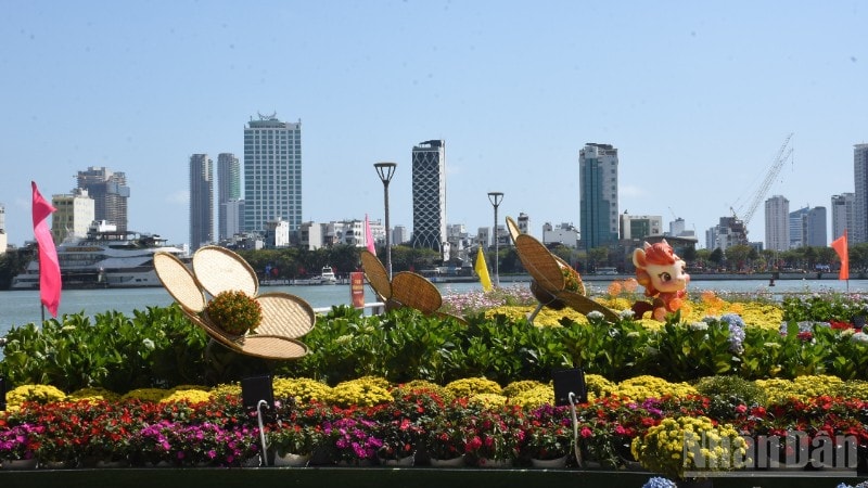 Mùa xuân trong lành, bình yên về trong lòng thành phố. ndo_br_b0-2479.jpg