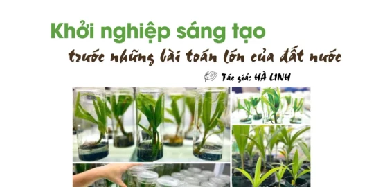 Khởi nghiệp sáng tạo trước những bài toán lớn của đất nước