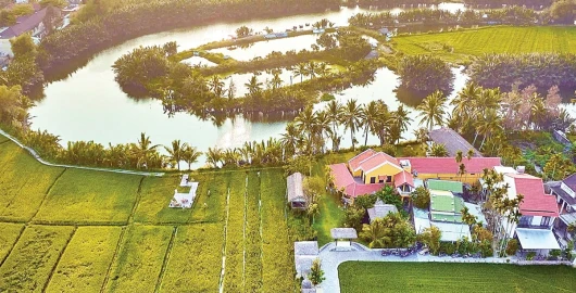 Từ bữa ăn nghìn đô giữa ruộng