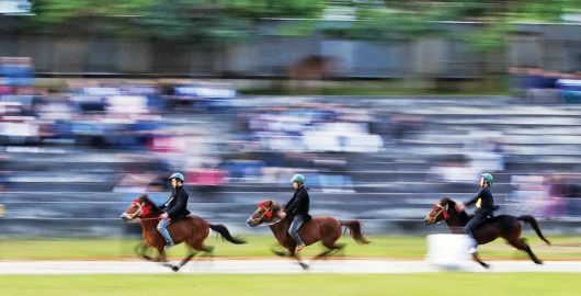 Rộn vó ngựa trong sắc xuân Bắc Hà