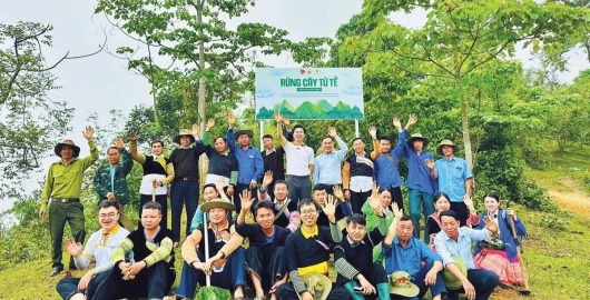 Cùng nắm tay “góp lá vá rừng”