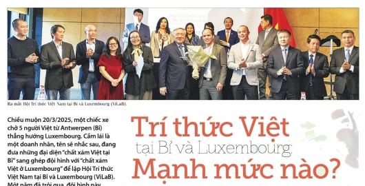 Trí thức Việt tại Bỉ và Luxembourg mạnh mức nào?