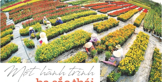 Một hành trình ba sắc thái