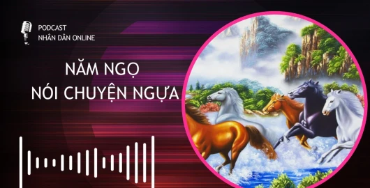 [Podcast] Năm Ngọ nói chuyện ngựa