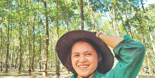 Người Rơ Măm, trong những hồi sinh