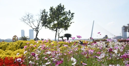 Giữa khoảng lặng mùa xuân thành phố