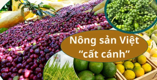 Xúc tiến thương mại-cầu nối đưa nông sản Việt “cất cánh”