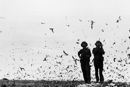 Đặc công Hải quân - lực lượng tác chiến đặc biệt tinh nhuệ