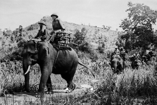 [Ảnh] Chiến dịch Tây Nguyên (4/3 - 24/3/1975)