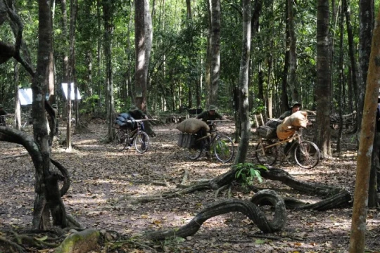 Đợt phim chào mừng các ngày lễ trọng đại của đất nước