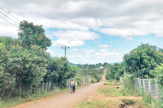 Đội hình giữ đất trên quê hương mới