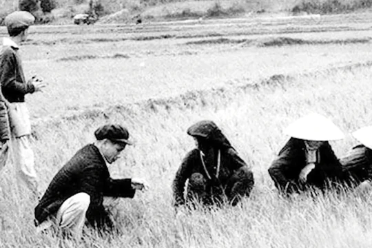 Những cuộc "phá rào" mở lối cho đổi mới