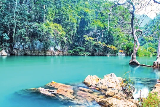 Rừng xưa ôm bóng Người