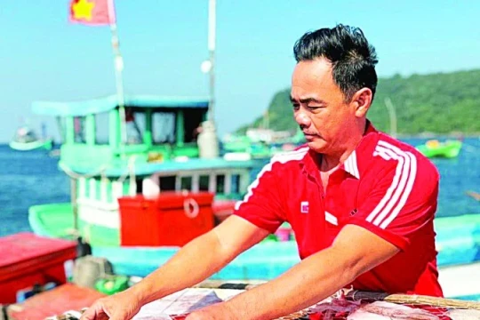 Tổ quốc kiên trì nhoài ra phía biển