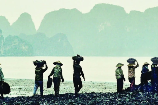 Than nhặt, gạo và những chuyến tàu xuất khẩu "vàng đen" ra thế giới