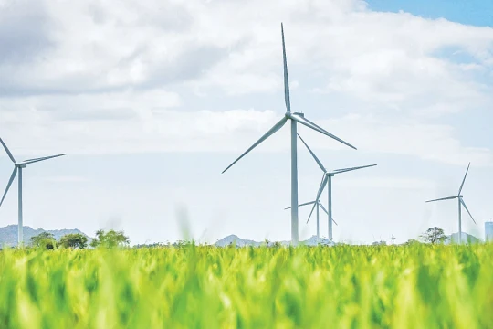 Sải bước tự do thương mại với các FTA thế hệ mới