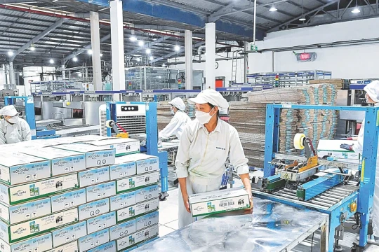 Doanh nghiệp Việt nhịp bước cùng đất nước