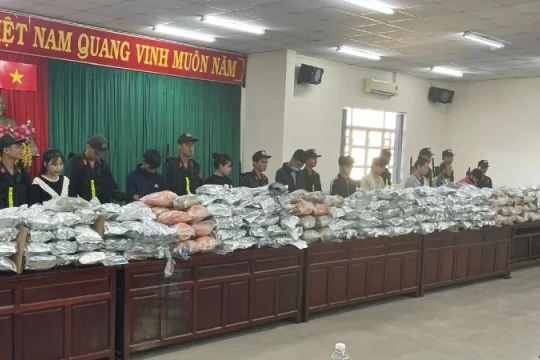 Triệt phá đường dây mua bán, vận chuyển cần sa xuyên quốc gia, quy mô đặc biệt lớn